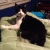 Seth Workman - Facebook
