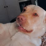 Seth Worley - @sethworley123 - Instagram