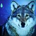 Seth Yates - Facebook