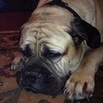 Seth Yates - @fenceguy04 - Instagram