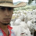 Severiano Gomesvera - @severianogomesvera - Instagram