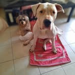 Severin Johnson - @severin.johnson.1 - Instagram