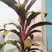 Severin Smith - Facebook