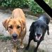 Severine Blondel - Facebook