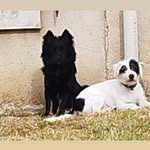 Severine Moreau - @moreau69998 - Instagram