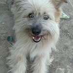 Severino Lopez - @severino.lopez.9275 - Instagram