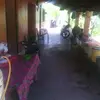 Severo Castañeda Cas - @severocastro123 - TikTok