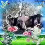 Severo Chavez - @severo.chavez.188 - Instagram