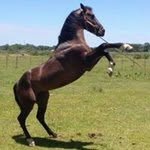 @severo_escobar - Instagram