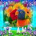 Severo Flores - Facebook