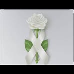 Selenne Severo Lugo - Facebook