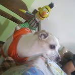Severo Lugo Monroy - Facebook
