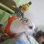 Severo Lugo Monroy - @severolugomonroy - Instagram