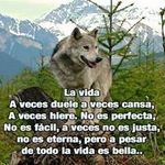 Severo Martinez - @severo.martinez.3762 - Instagram