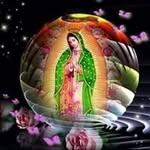 Severo Perez Fernandez - @severoperezfernandez - Instagram