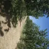 severoruiz936 - @severoruiz936 - TikTok
