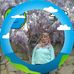Sevgi Boğa - Facebook