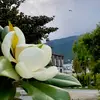 Sevim Yılmaz - @sevimyilmaz5234 - TikTok