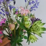 Cathy Wentworth - @seymourblooms - Instagram