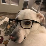 Seymour Johnson - @seymour_isa_nerd - Instagram