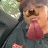 shaaparker - @shaaparker - TikTok