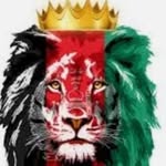 shaban rahimi - @shaban_rahimj - Instagram