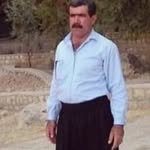 shaban rahimi - @jhmjharh - Instagram
