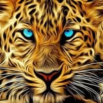 Shabih Rizvi - @nrizvi344 - Instagram