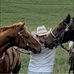 Shad Hansen - Facebook