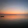 Shad Watson Shop - @loan.vu530 - TikTok