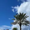 shadetwatson - @shadetwatson - TikTok