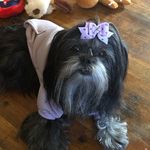 Shade smith - @shadetoocute - Instagram