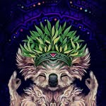 Shade Wilson - @symmetrisch_ - Instagram