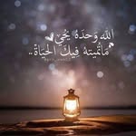 Shaden Mohammad - @shaden.mohammad.90 - Instagram