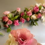 Shaden Mohammad - @shadenshadoo21 - Instagram
