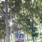 Shadi Ibrahim - @shadi.ibrahim.334 - Instagram