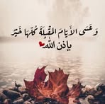 Shadi Ibrahim - Facebook