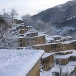 shadisamadi - @shadisamadi - Instagram
