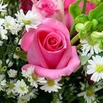 Shadia Hasan - @shadiahasan1 - Instagram