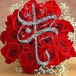 Shadia Hasan - @shadiahasan43 - Instagram