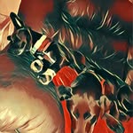 Raven & Shadow Martin (Dogs) - @5_raven_shadow - Instagram
