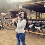 Shae Davis - @shaedavis14 - Instagram