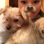Shae Miller - @shaemiller7_spam - Instagram