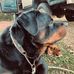 Shae Mae Veach - Facebook