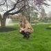 Shae Wright - Facebook