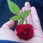 azher - @shafeemohammed56 - Instagram
