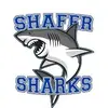 shafer_guess_who69 - @shafer_guess_who69 - TikTok