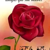 Shafialam Shafial640 - @shafialamshafiala70 - TikTok