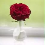Shafiq Butt - @shafiq.butt.92317121 - Instagram