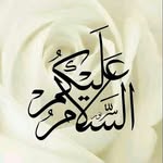 shafiq butt - @shafiqbutt66 - Instagram